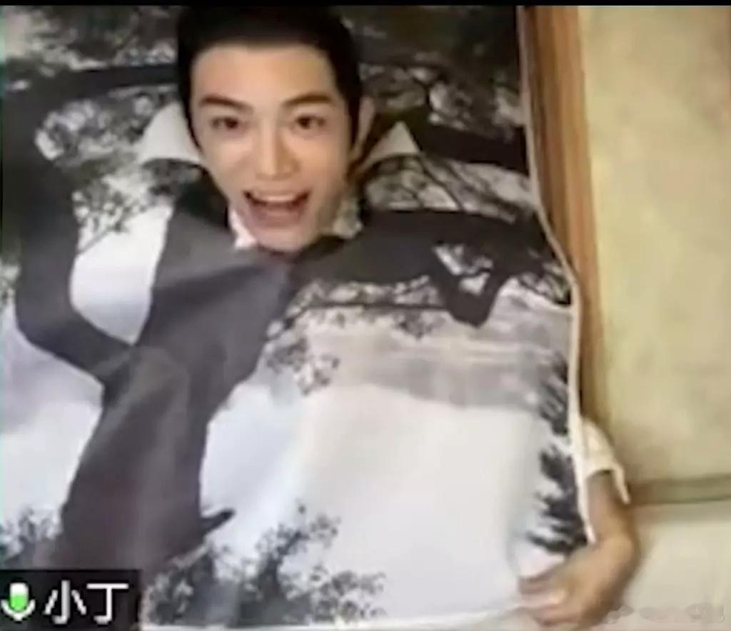 丁禹兮以前直播就爱弄背景板甚至还融入背景板也太好笑了​​​
