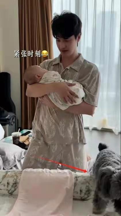 张檬家有小婴儿，狗狗在床上爬来爬去不好吧！​​​