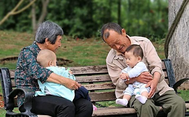 为何重孙没有孙子亲？这不是一道单纯的亲情题，而是一道家庭权力题。孙子出生时，爷爷