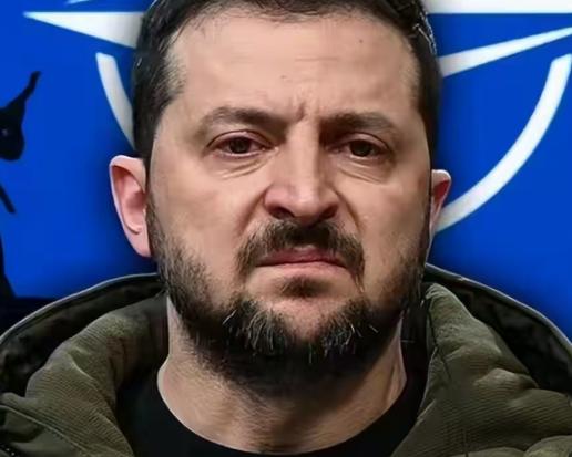 泽连斯基现在估计心里不好受，不是仗没打好，而是国家都快打没了。 其实这有实打