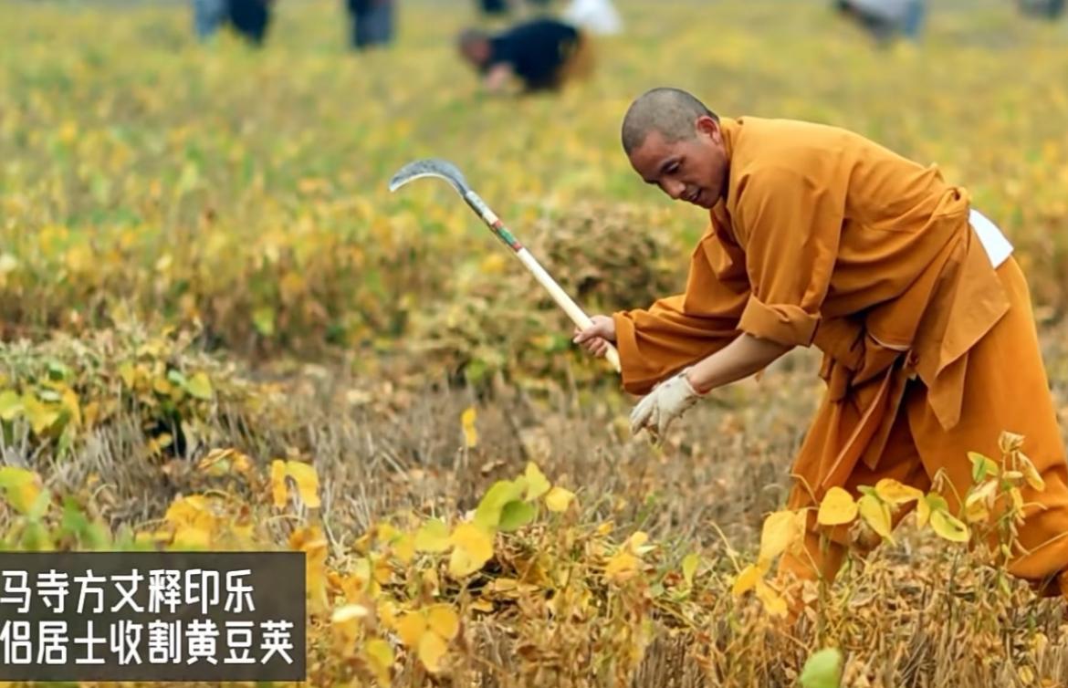 少林寺新上任的主持印乐大和尚，据传是个勤俭务实的人，他此前在白马寺完全去商业化，