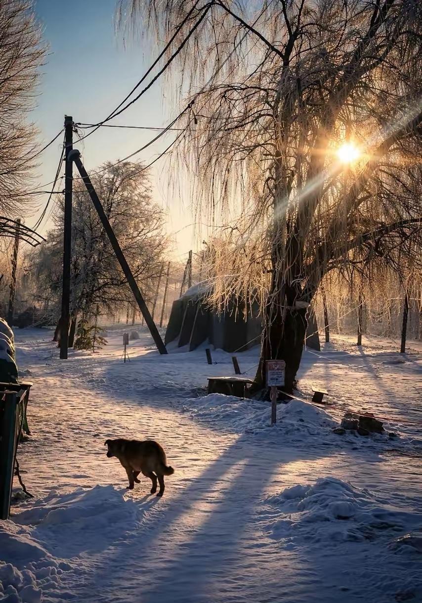 俄罗斯东部群称已深入乌军防线纵深2月14日，俄军正式通报，东部集群一天之内打