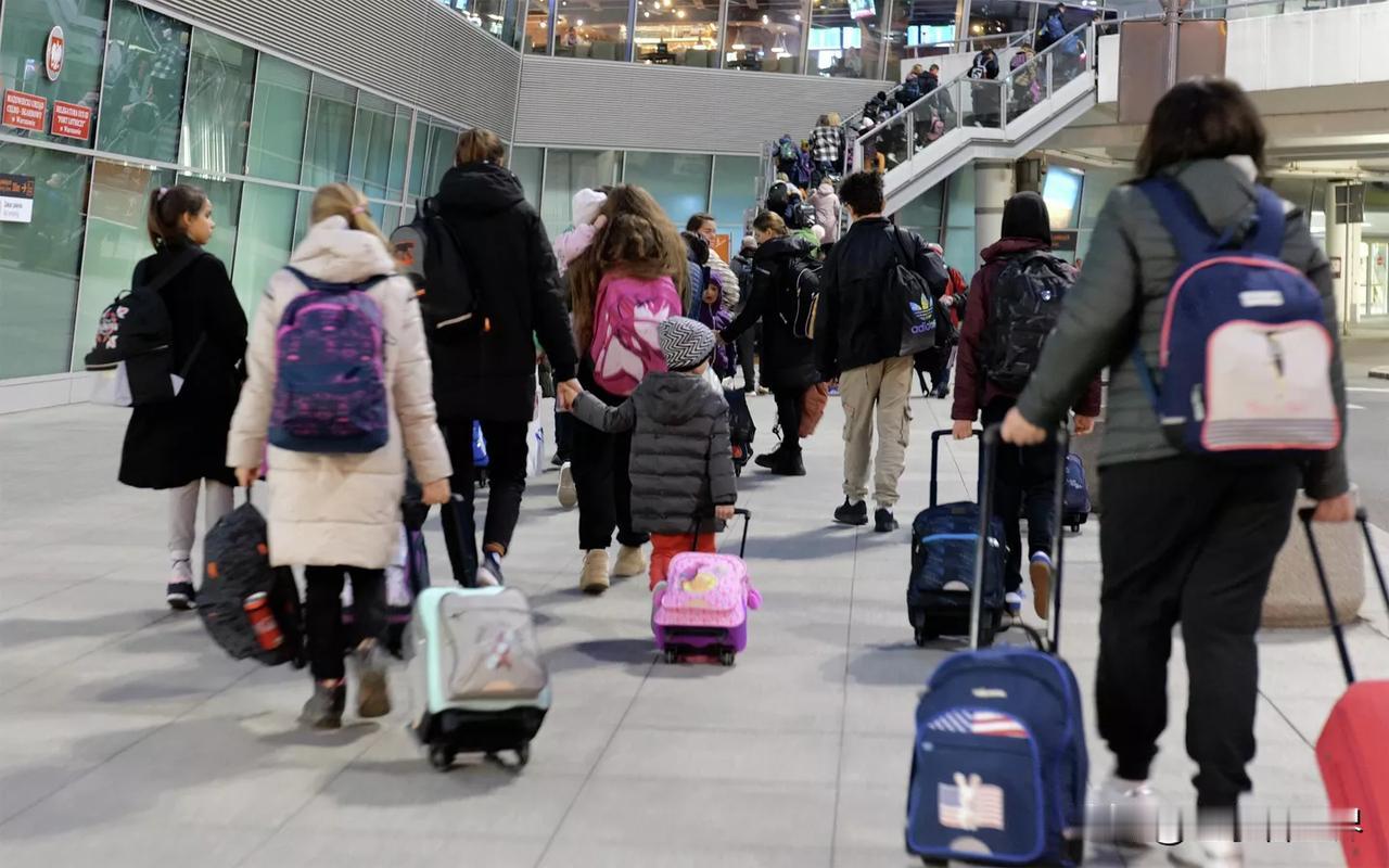 【乌克兰教育部副部长：许多大学教师和学生已经前往欧洲】基辅时间2025年11月