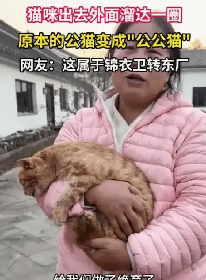 王女士家那只叫大橘的橘猫，前阵子趁她开门送货嗖地溜出去，四天后自己晃回家，毛顺屎