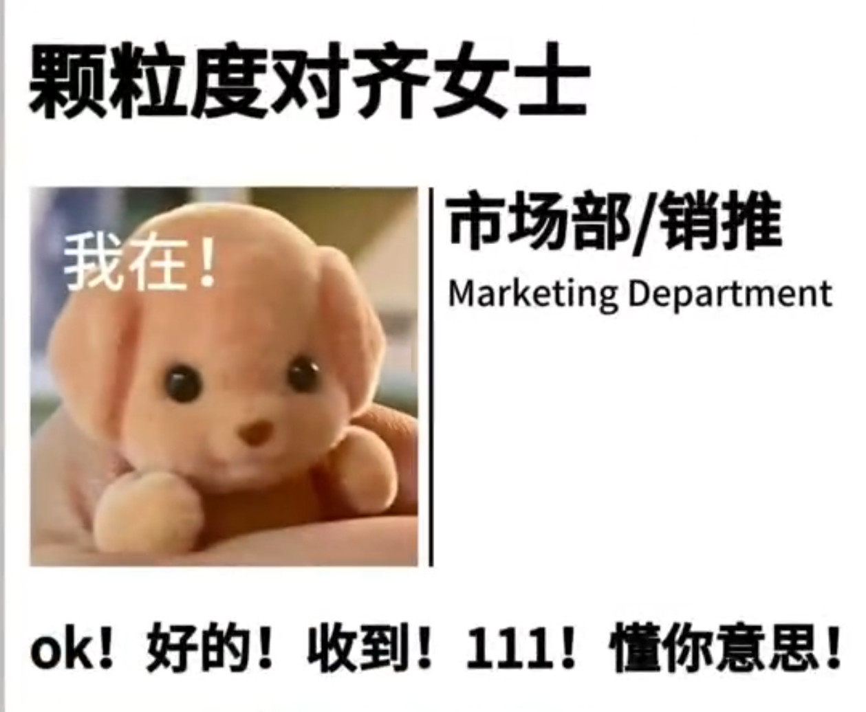 年轻人整顿完职场开始整顿专家了广东网友给专家取名太有班味了整顿完职场又整顿专家