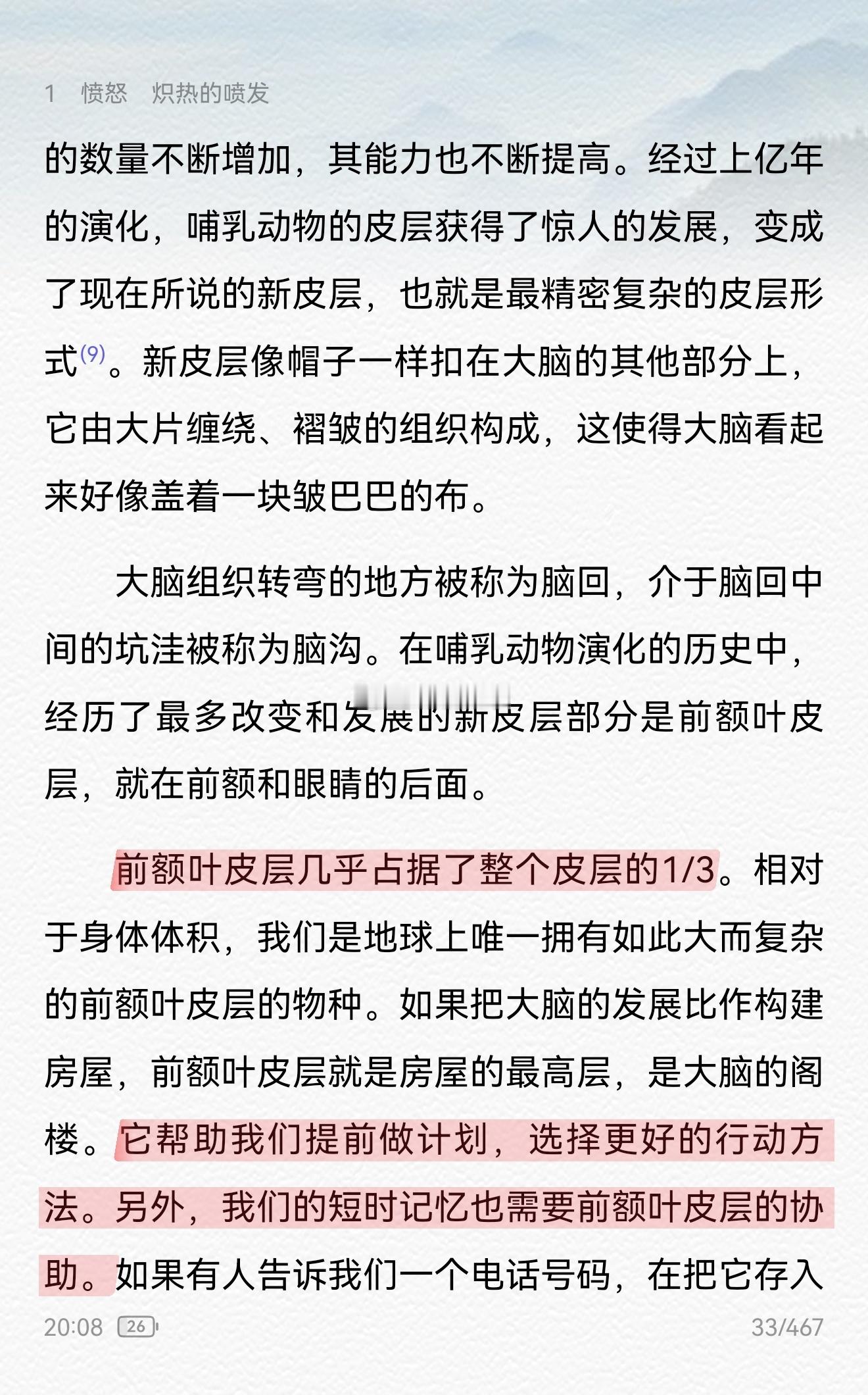 年轻人做事有冲劲的形质基础。