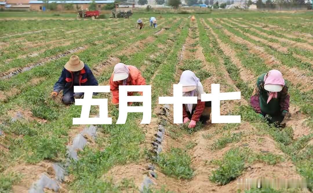 不是迷信，今日五月十七，最不能做的4件事，别忘告诉家人！农历五月十七，老黄