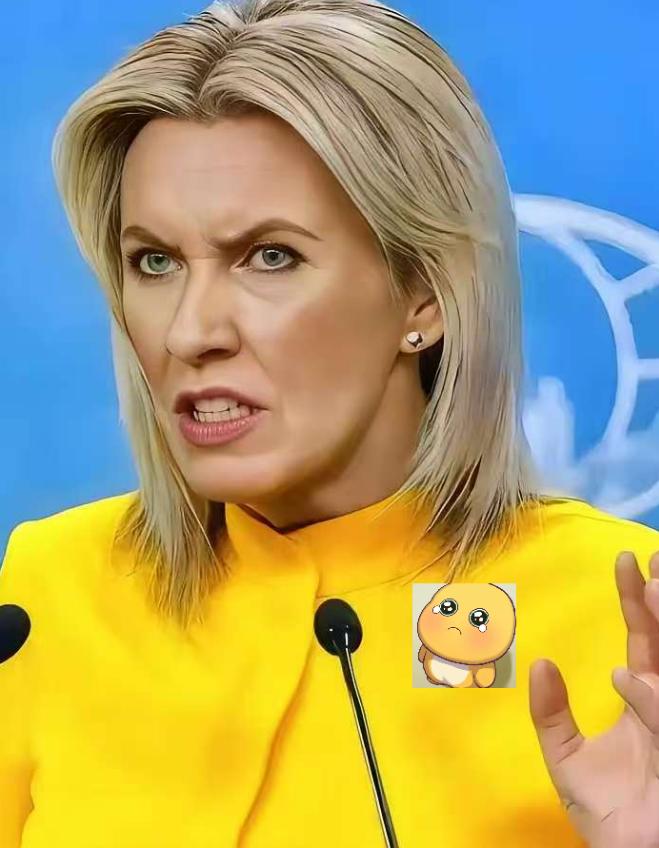 果然被我猜中了！俄罗斯反制来了！就在刚刚，俄罗斯外交部放出重磅消息，宣布对欧