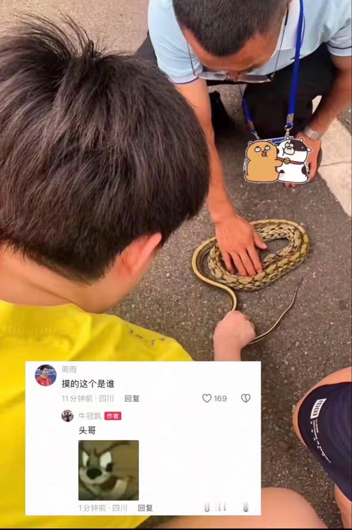 王楚钦怎么那么喜欢蛇呀？他属龙，感觉他看到蛇就跟看到他兄弟似的，非但不怕，还亲自