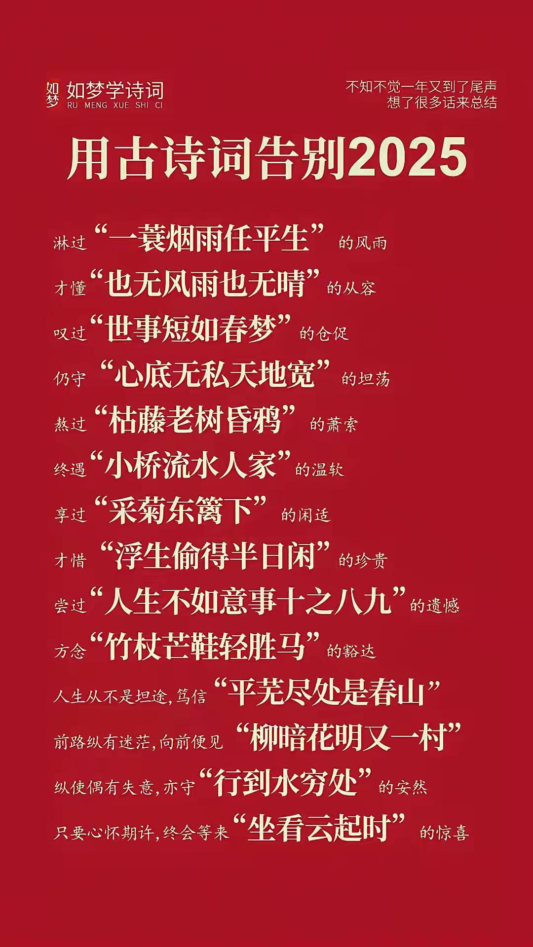 如果用一句古诗词来总结你的2025，会用哪句。