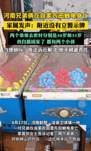 令人痛心，兄弟俩当场被电死。事发河南省鹤壁市浚县。兄弟俩人在自家田地里种植山药