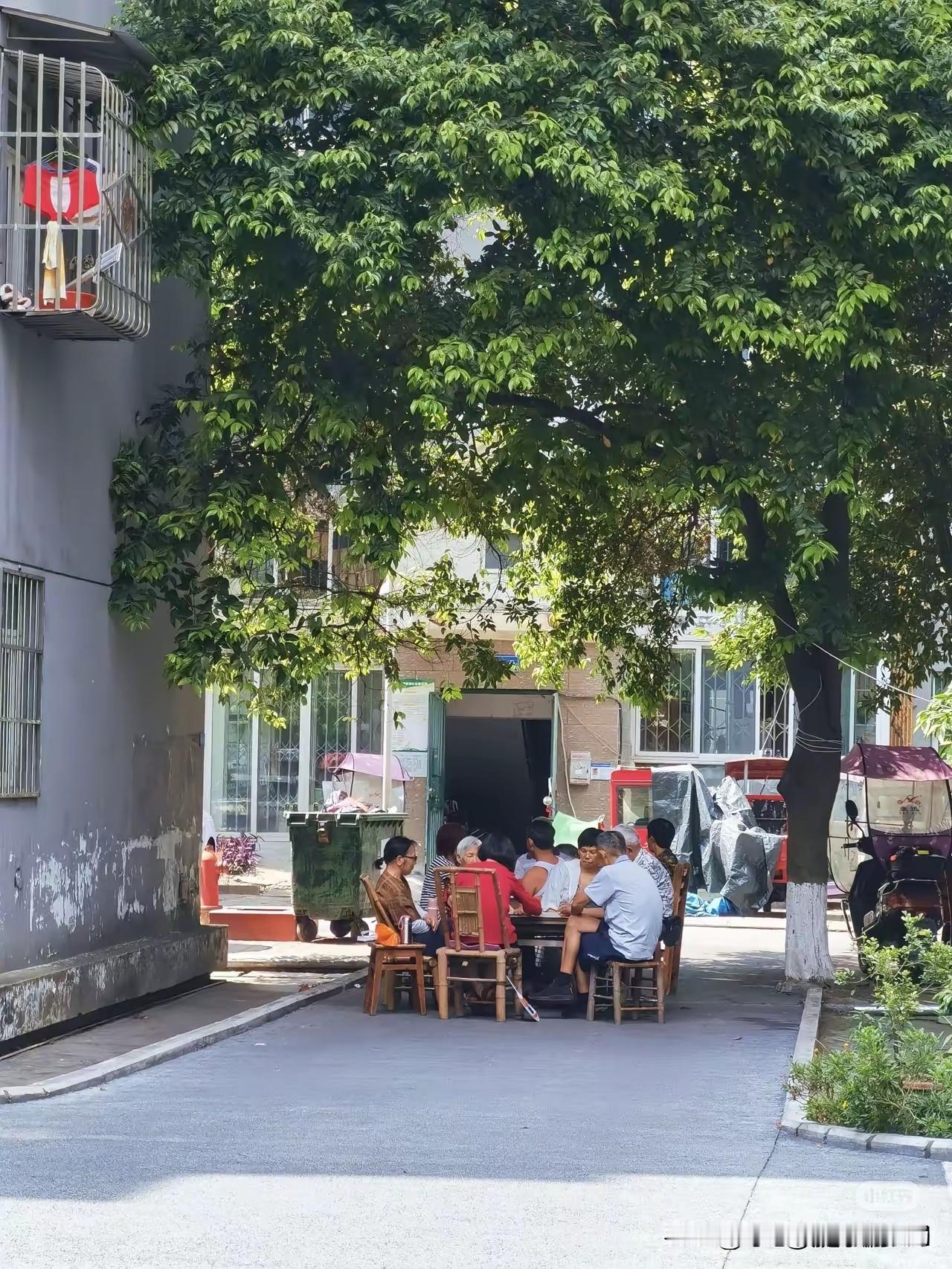 今天突然发现一个怪事，这几天气温都已经高达38度了，但是我们小区的楼下总是有一些