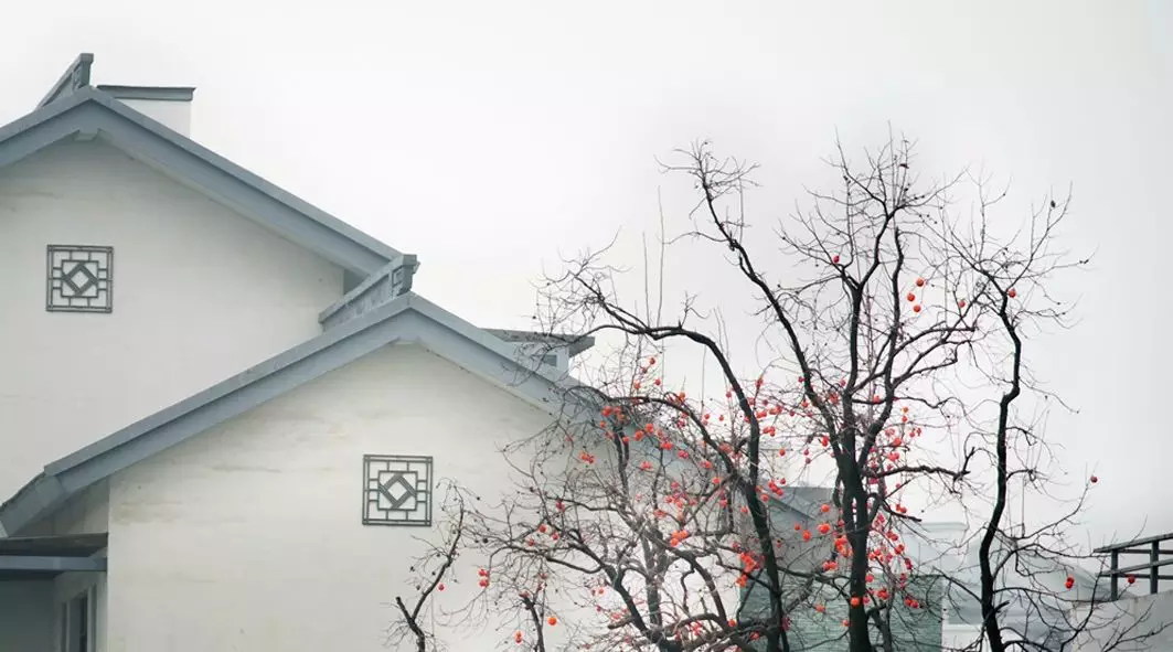 漫思|最好的家教, 是和孩子共同成长!