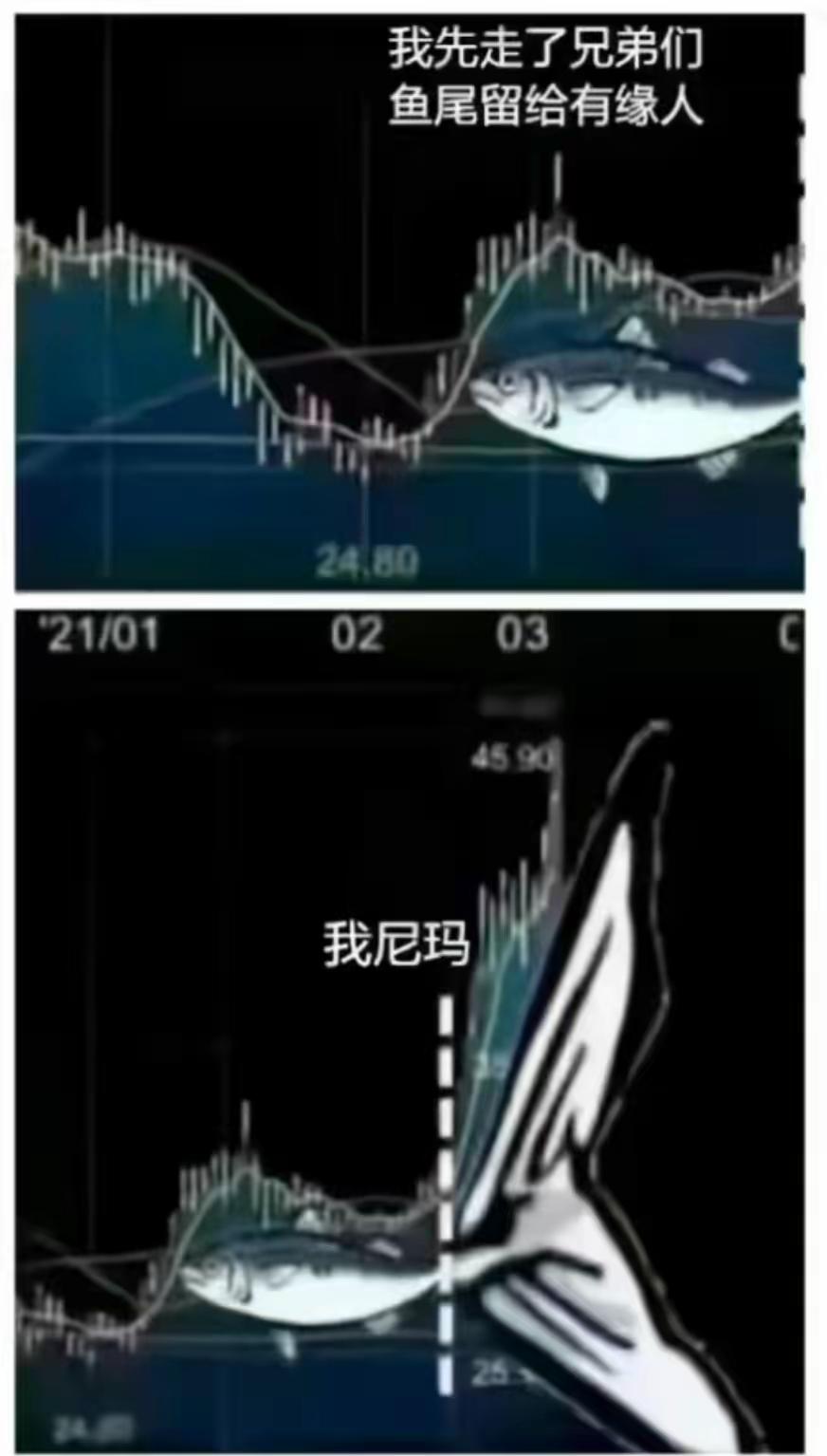 好家伙，这个鱼尾确实[捂脸哭]