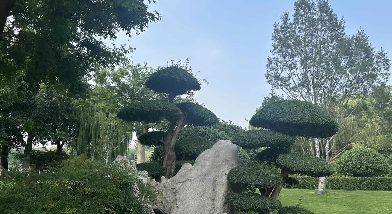 二婚，孩子是前夫的，监护权在我。前夫只是每个月一千抚养费，其它一概不闻不