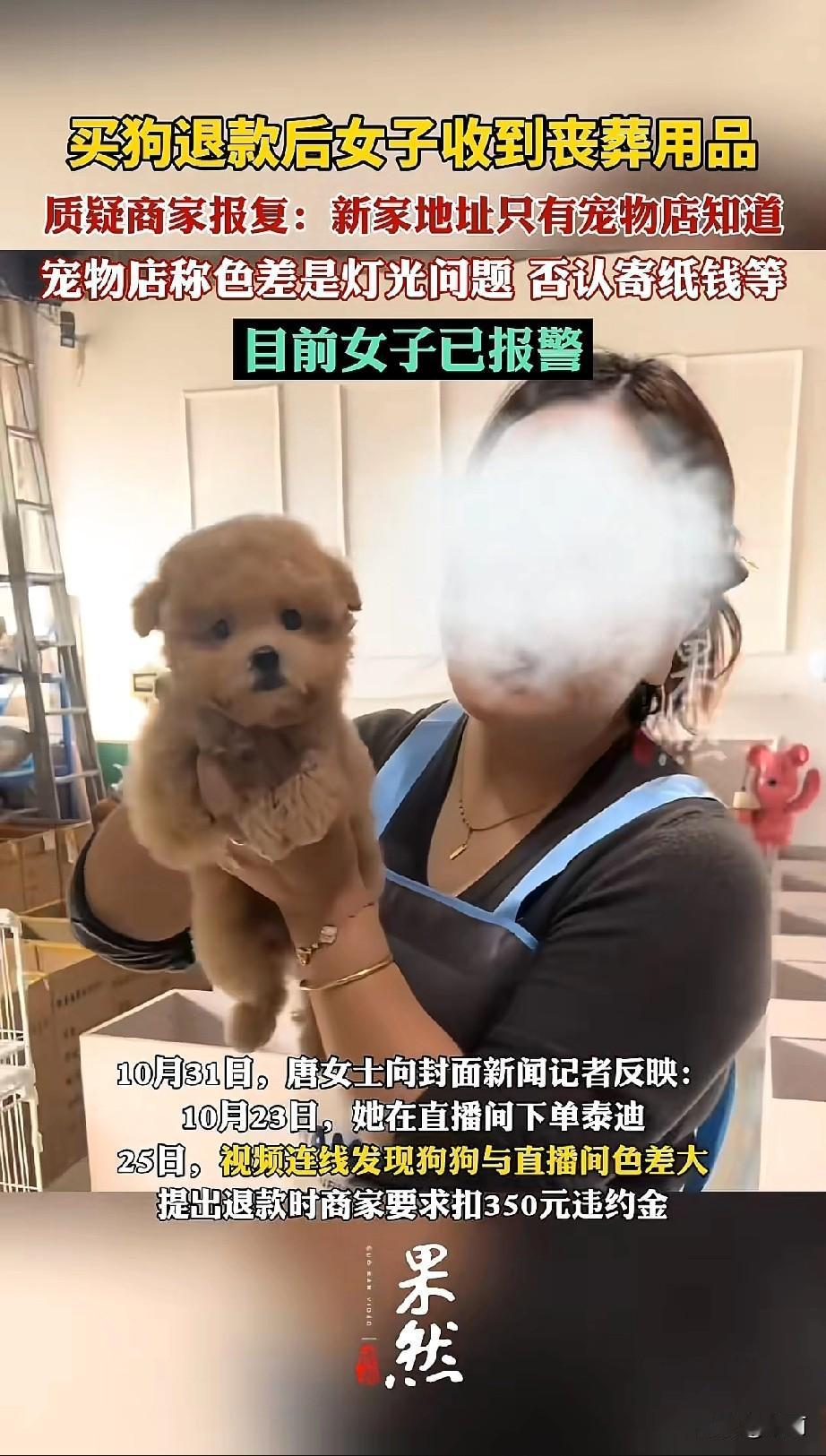 山东德州唐女士在直播间花2750元买泰迪犬,视频连线发现狗狗是棕色,和直播间浅金