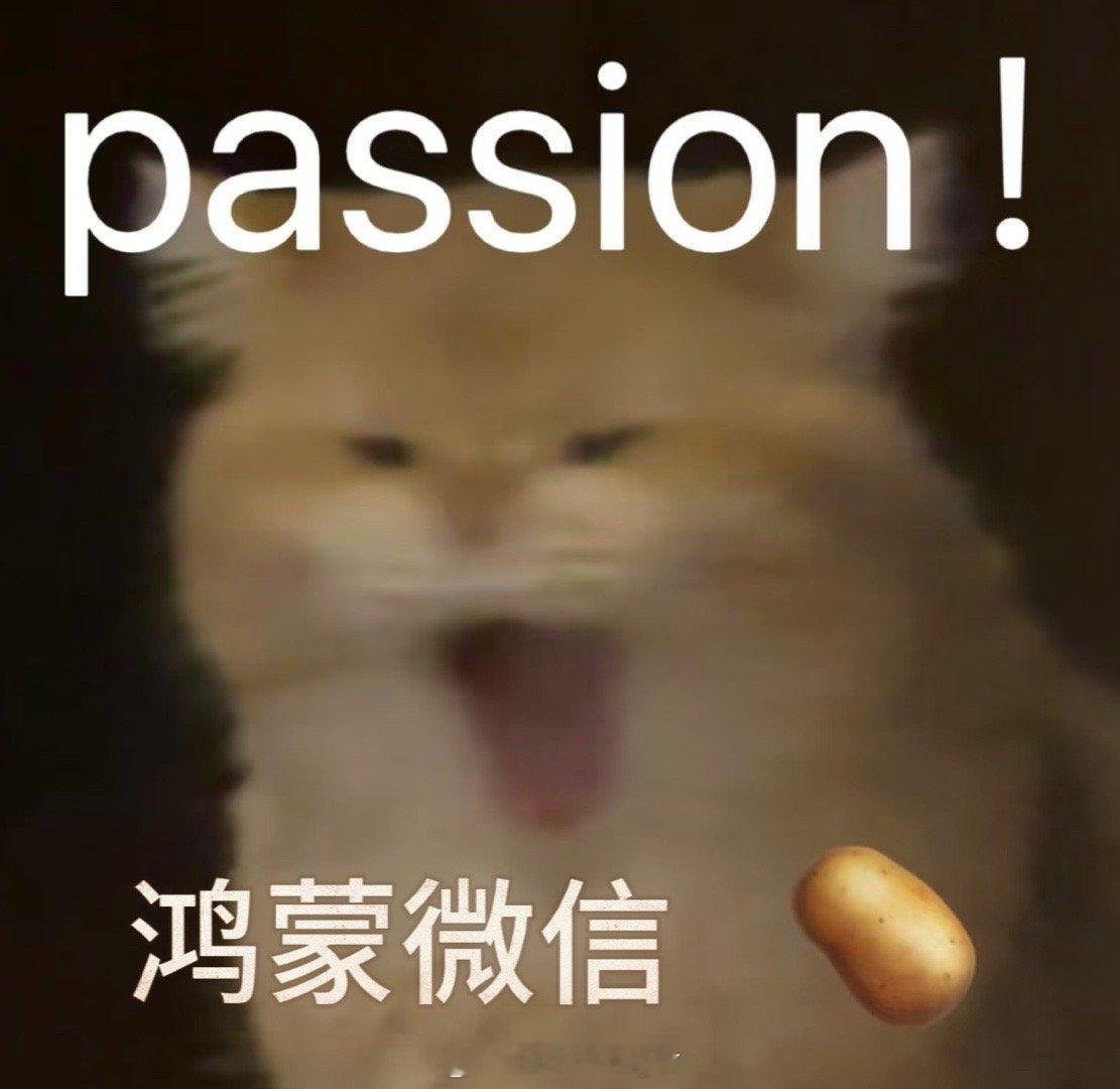 鸿蒙版微信1.0.7.35版本更新的实用功能真的可圈可点，像是图片发送前编辑，满
