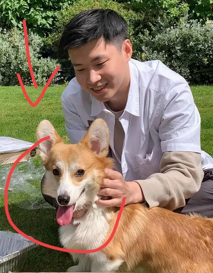 赵心童一觉睡醒，收到2个消息一个是坏消息，另一个也是坏消息头一个坏消息是