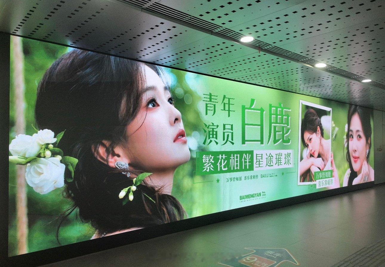 在出道十周年与三十二岁生日交汇的节点，白鹿在采访中坦言自己从“不敢停下来”到学会“允许一切发生”。当