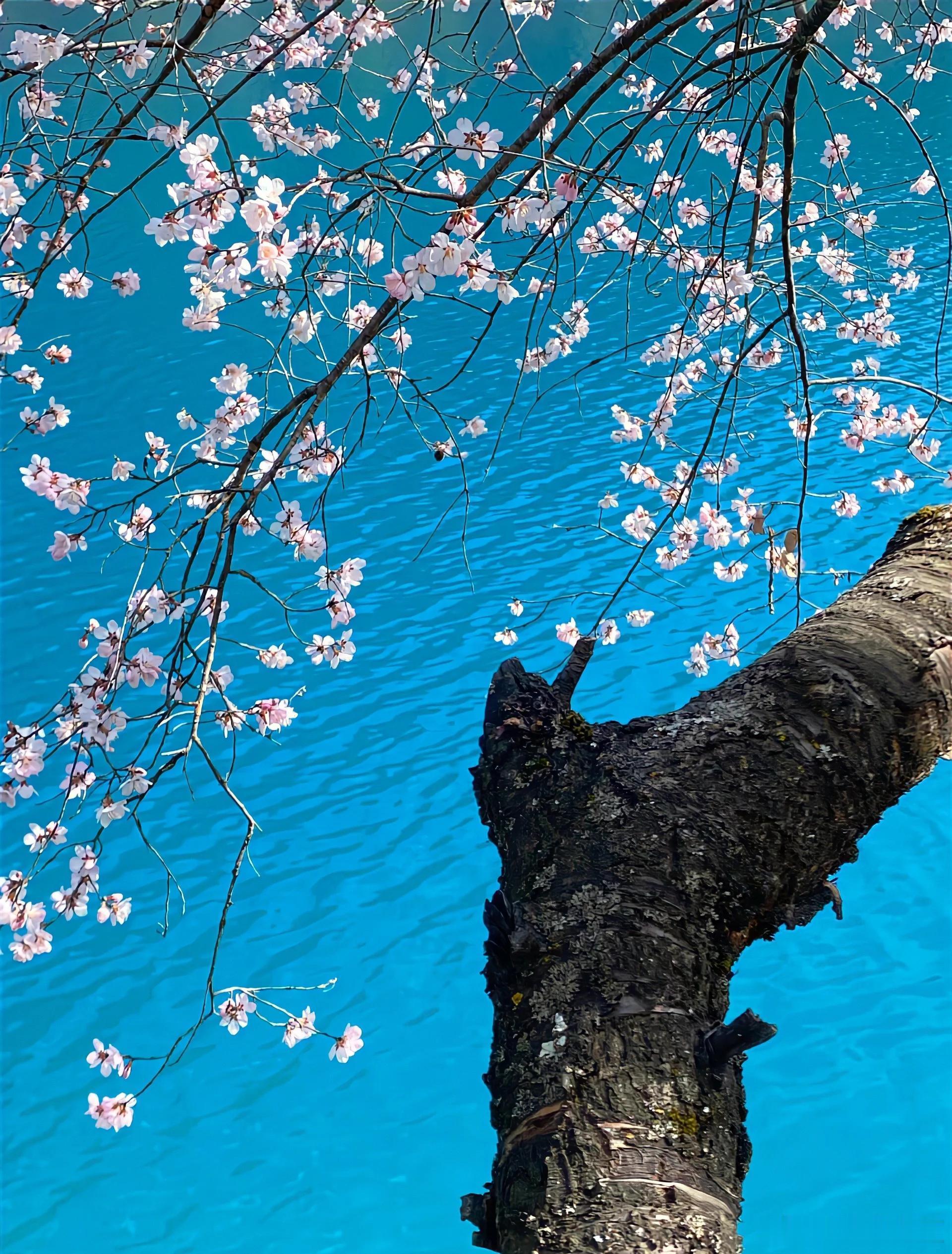 九寨沟水清湖叠，山林倒映，景色优美～​​​