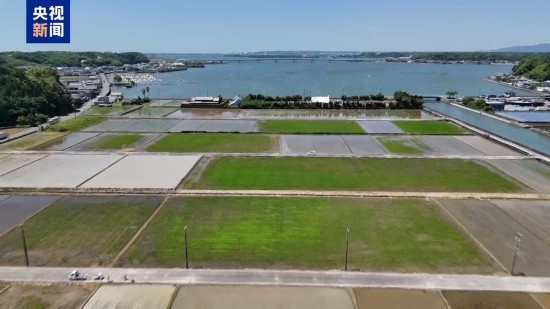 日本米农: 种植面积锐减、成本上涨 米价难降