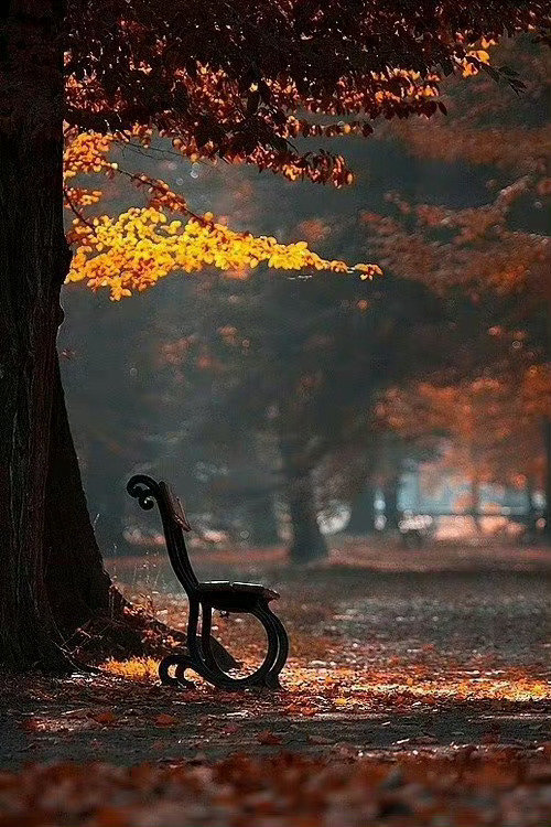 “自我”越重的人，越是以自我为中心的人，所承受的人生挫折也就越多。这并不意味着他