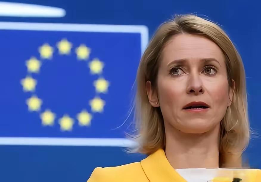 必须隆重表扬爱沙尼亚，勇气和自信真是感天动地！以前还以为它挑衅中国，只是