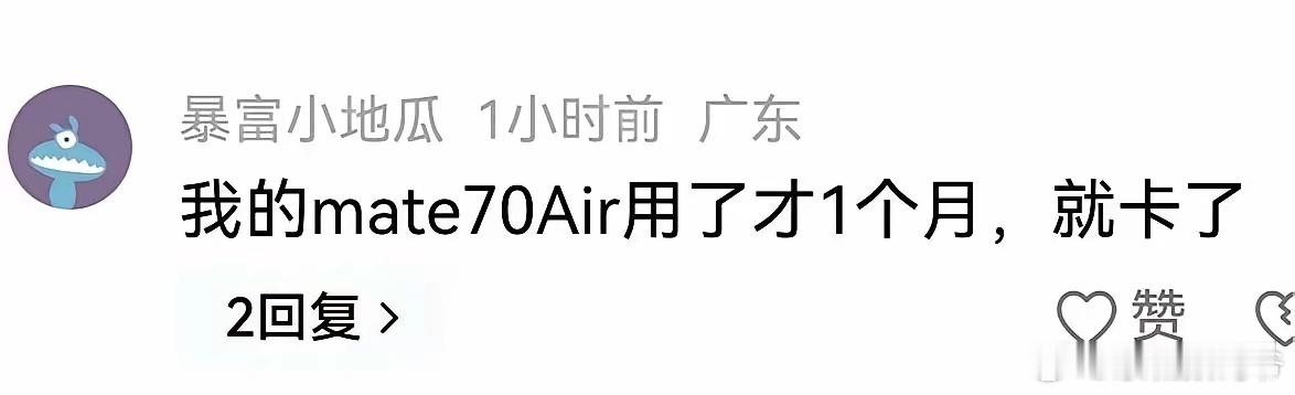 华为Mate70Air刚上，你们的丑恶嘴脸让人看了直恶心！比吃了苍蝇还恶心！