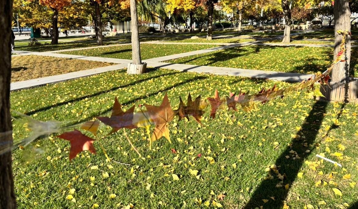 听说留学圈子里有这么句话：有钱的去西洋，没钱的去东洋，光脚的去南洋。就好像中