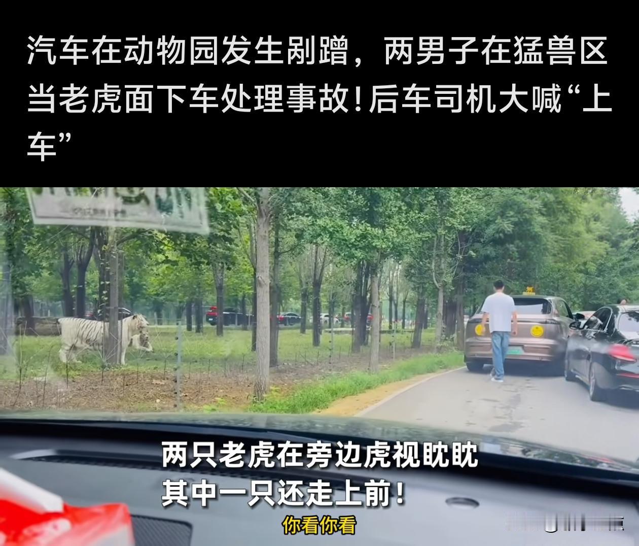 又出现猛兽区游客下车危险事件，后车乘客吓蒙。2025年8月31日，在秦皇岛野生动