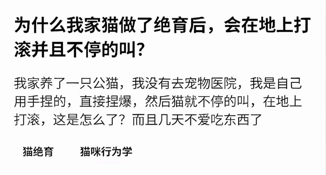 猫没咬他真的是太善了……