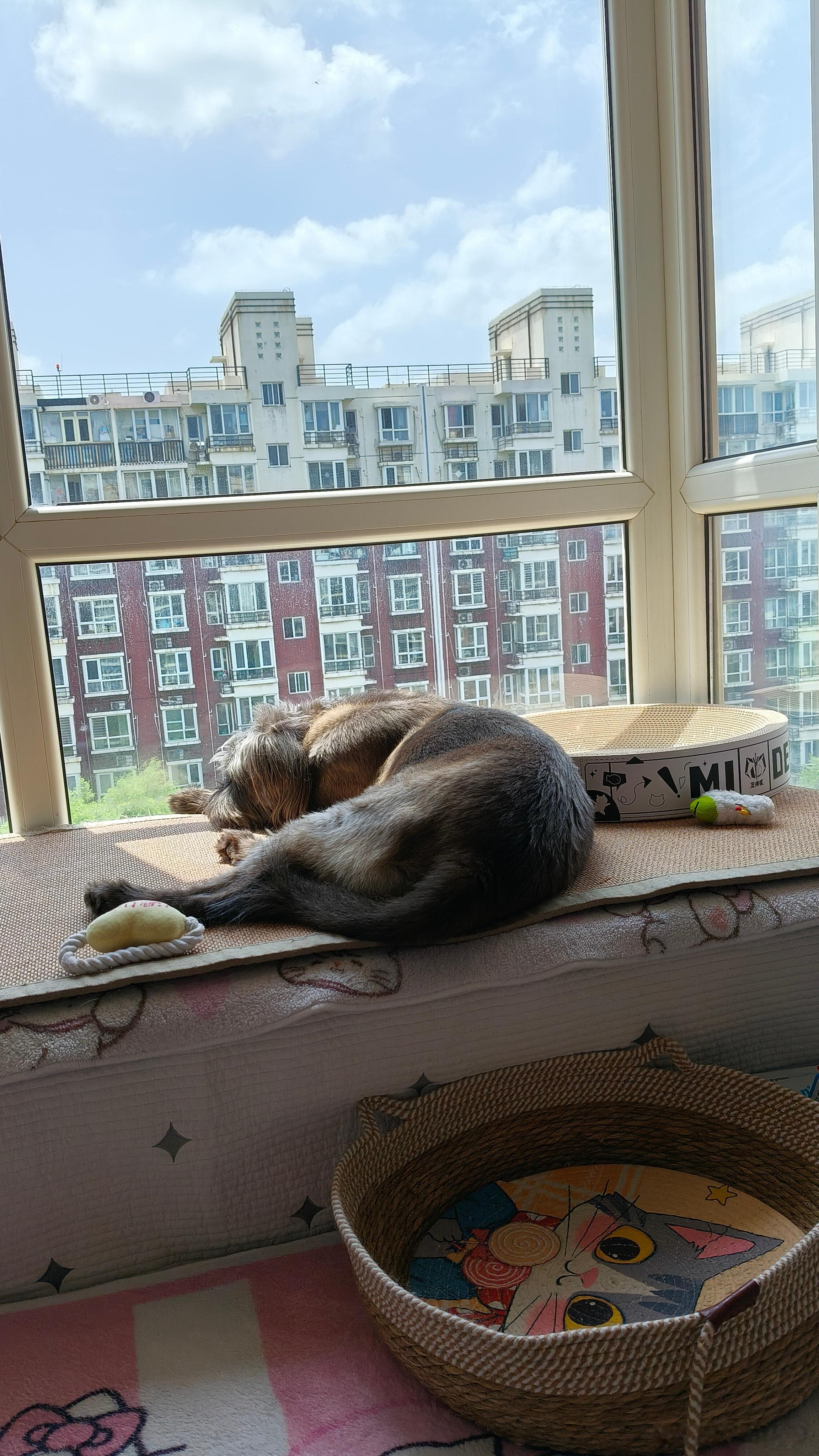 开着空调晒太阳，是冷还是热