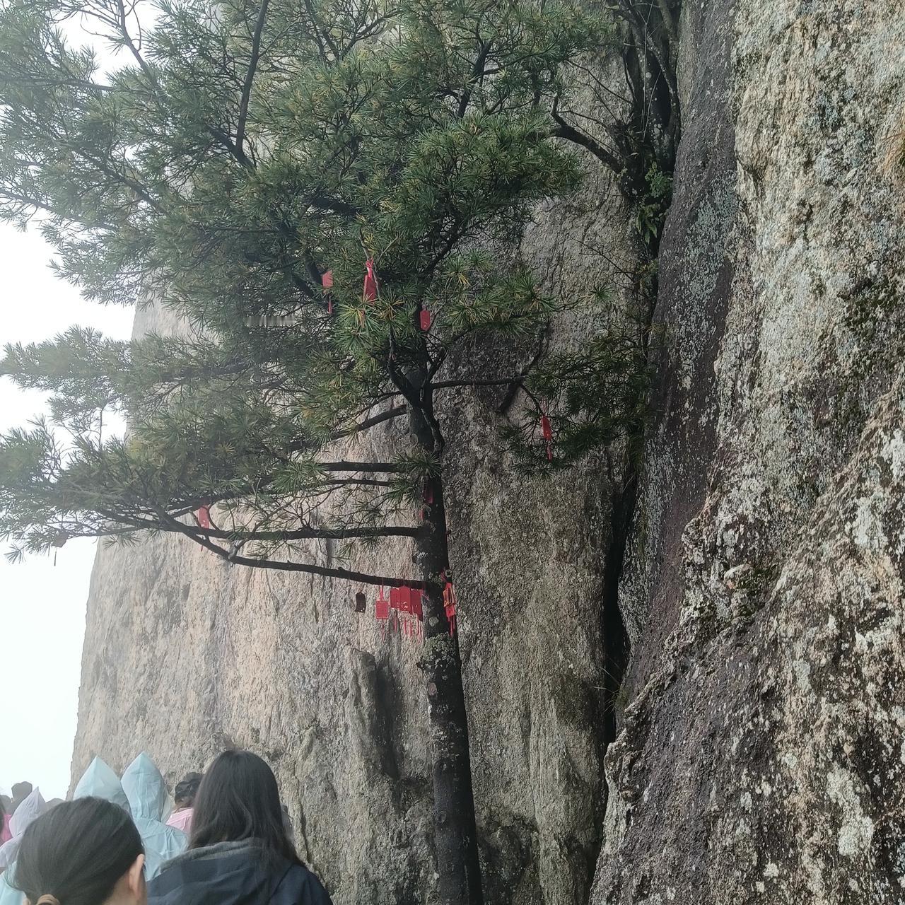 昨日，我参加了朋友父亲的追悼会。从其住院到与世长辞，不过短短三十天，我却见证了一