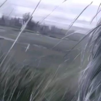 0000蒲公英种植一、种植准备与播种时间蒲公英适应性强，但以阳光充足、排水良好的