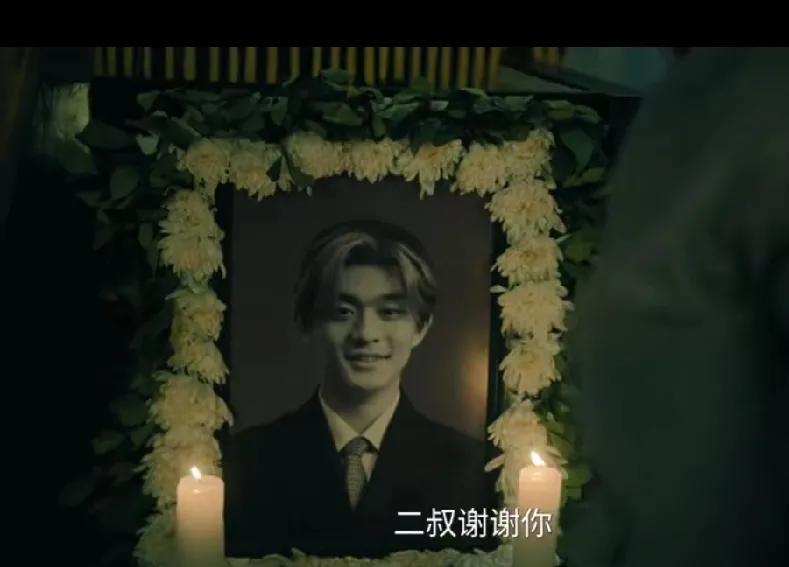 13.《扫毒风暴》。卢少骅正忙于侄子卢天赐的葬礼事宜，两个公安同志过来向他了解情