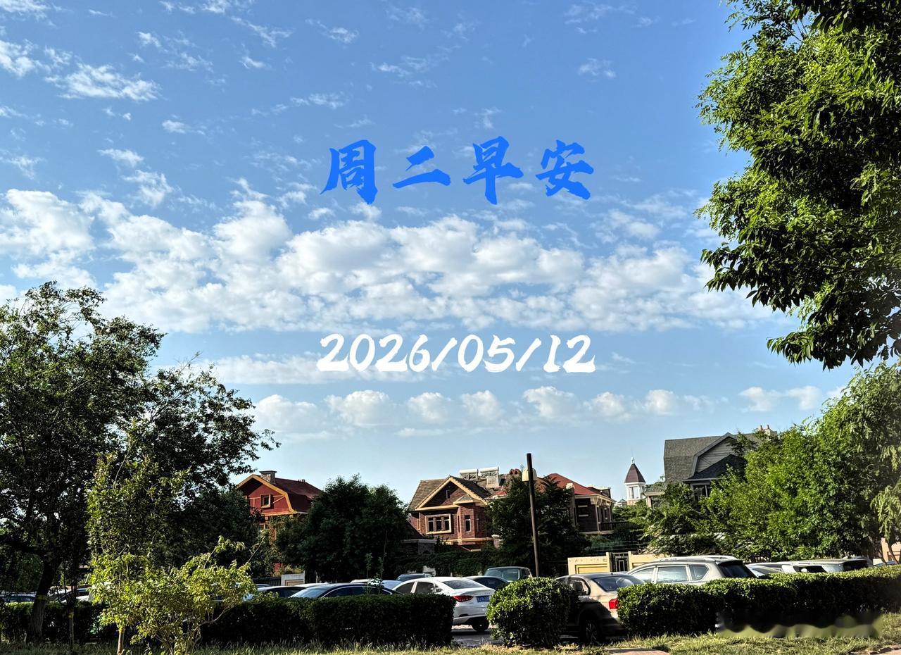 🍎²⁰²⁶/₀₅.₁₂人间清欢｜周二早安🍒🍊☕️人间清欢，慢度时光日