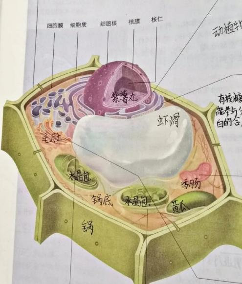 学生物和不学生物的都沉默了​​​