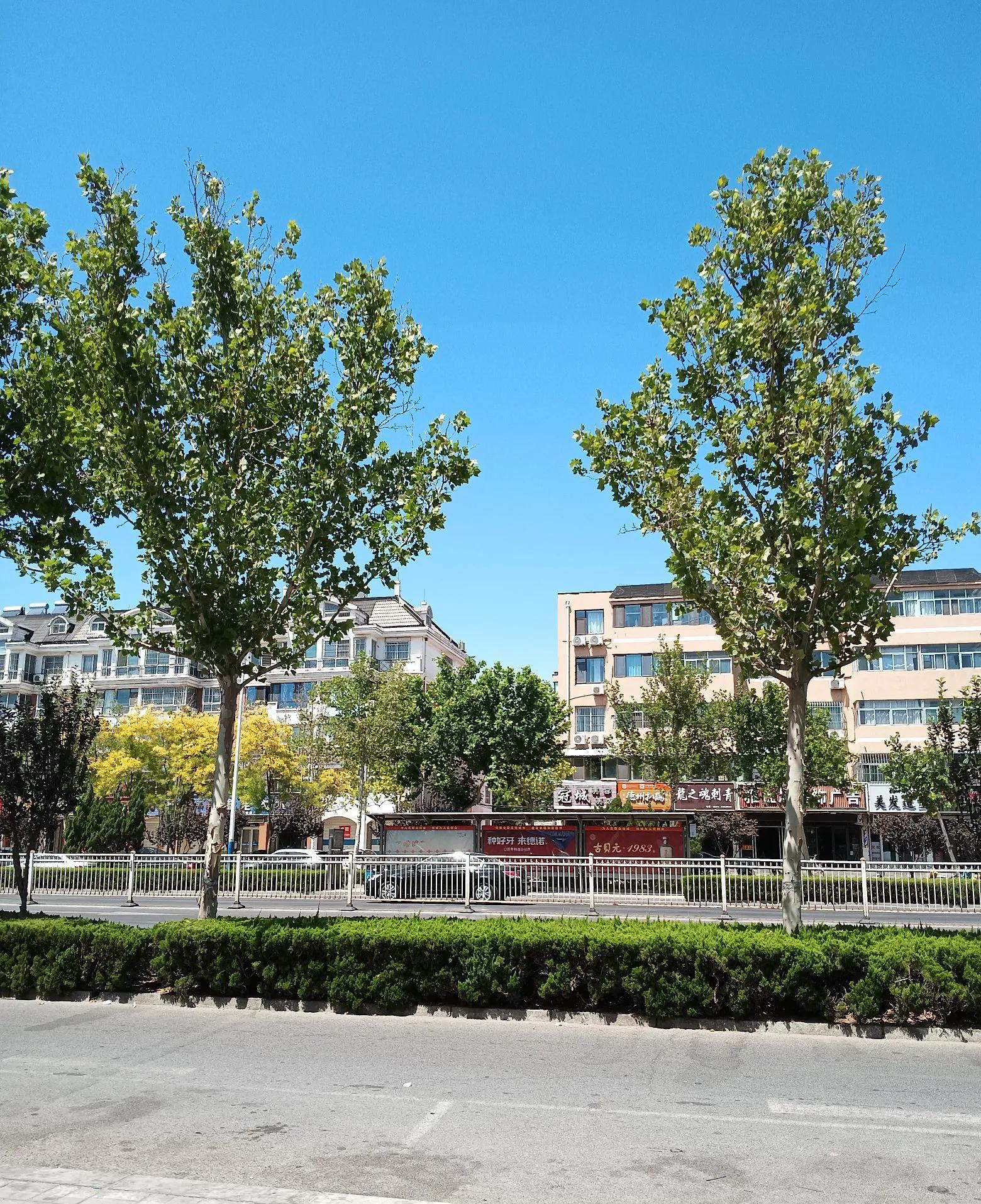 那年我刚结婚，和婆婆分住在两个院子。新婚伊始，我与婆婆之间存在着一道无形