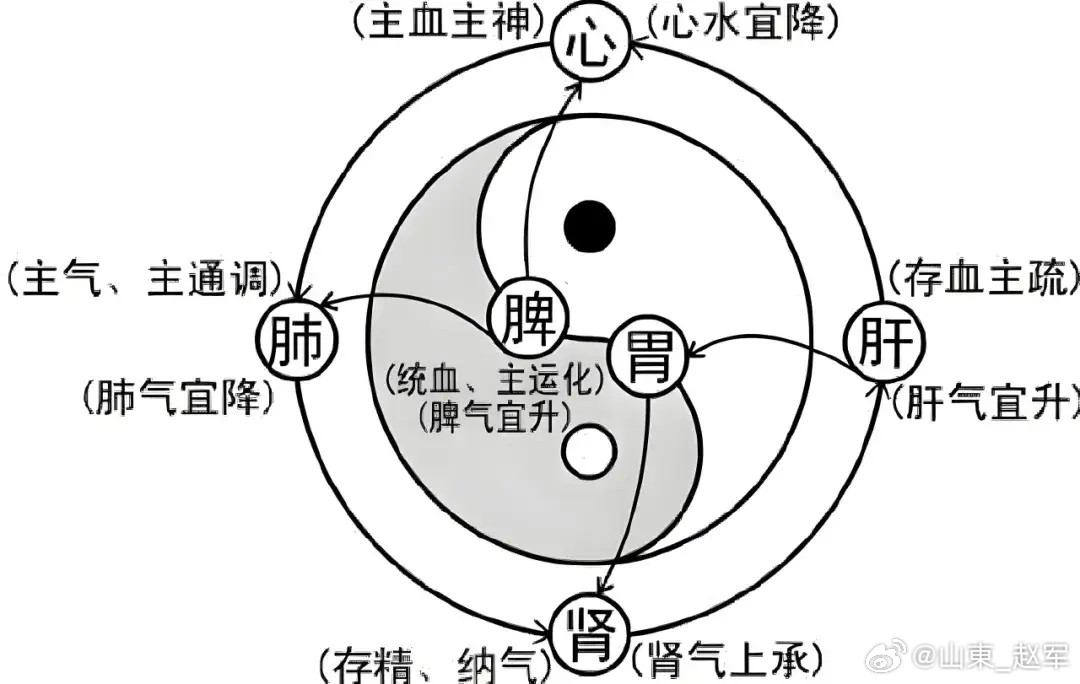 简释“男守不溢，女满必泄”一、身心本源之别男以肾精为本，贵在固守。肾精藏于肾，是