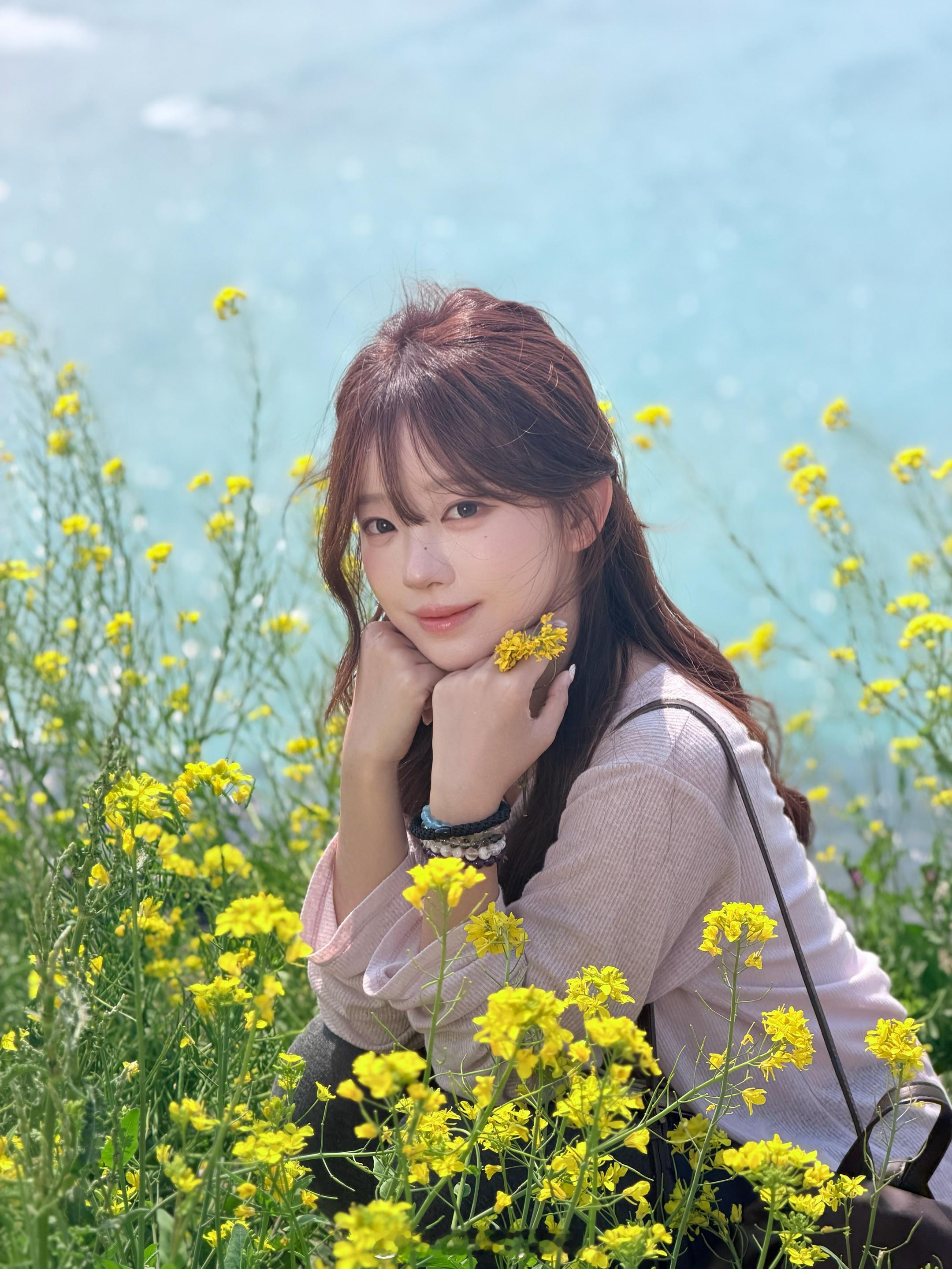 济州岛的两种花花！