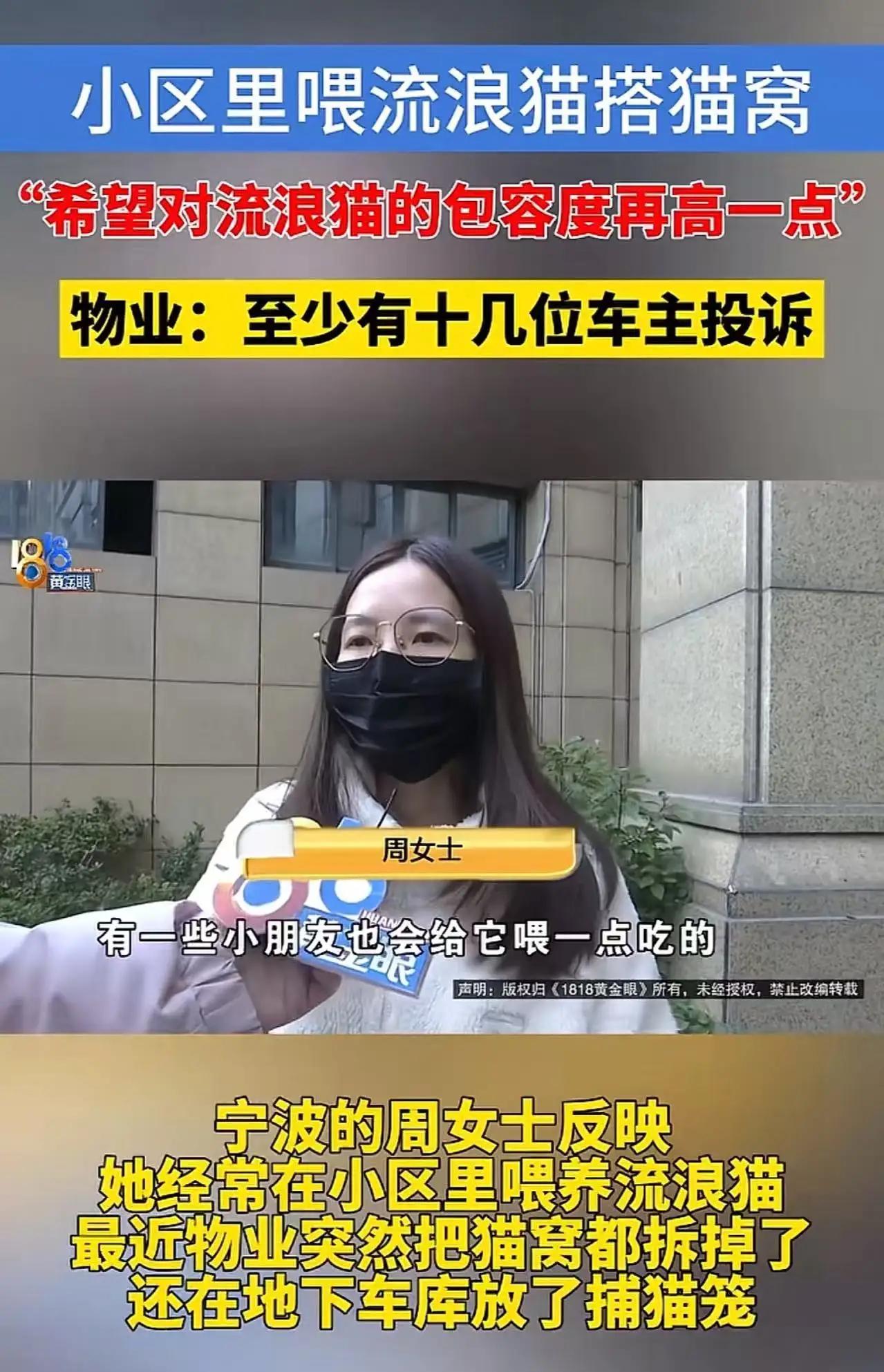 浙江宁波，一位女士因在小区内长期喂养流浪猫并搭建猫窝，引发了邻里间的激烈矛盾。出