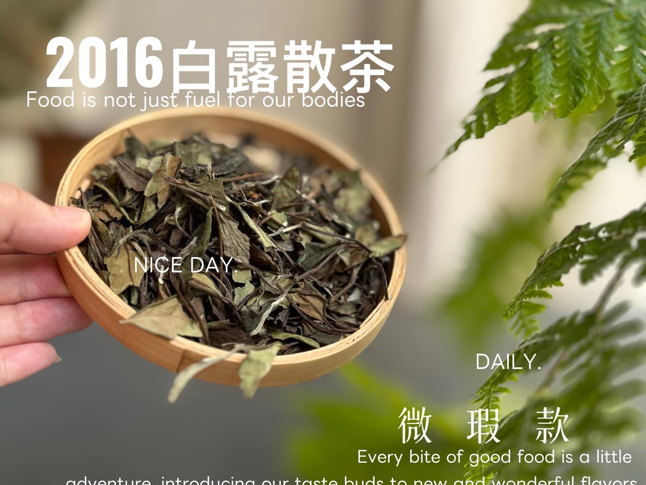寿眉就是白茶里的低端茶吗？价格亲民的寿眉被误解为低端，实在是太冤了。寿眉与白