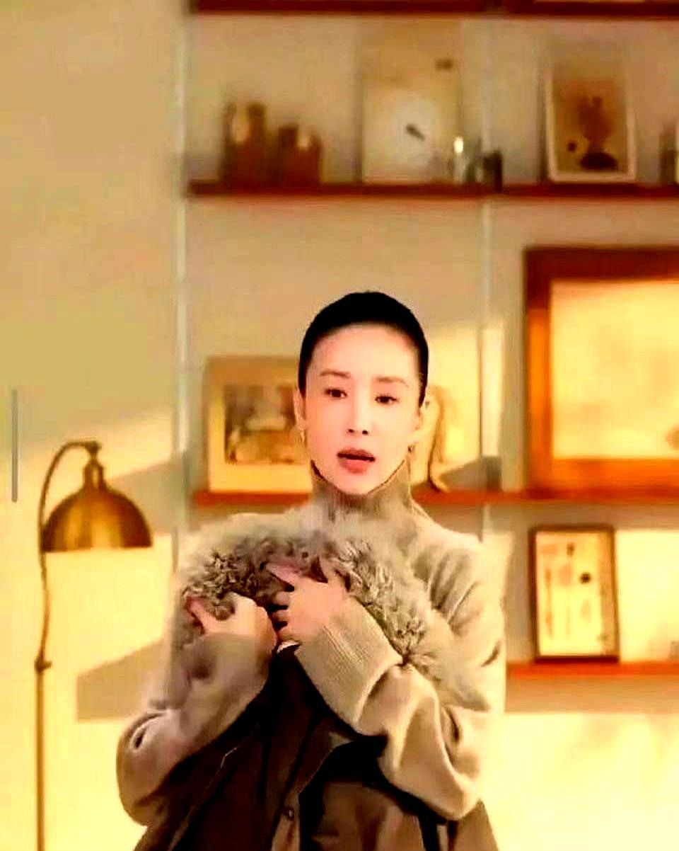 10分钟卖光12万件羽绒服，董洁没吼一句“家人们冲”。她说话像跟朋友聊天，