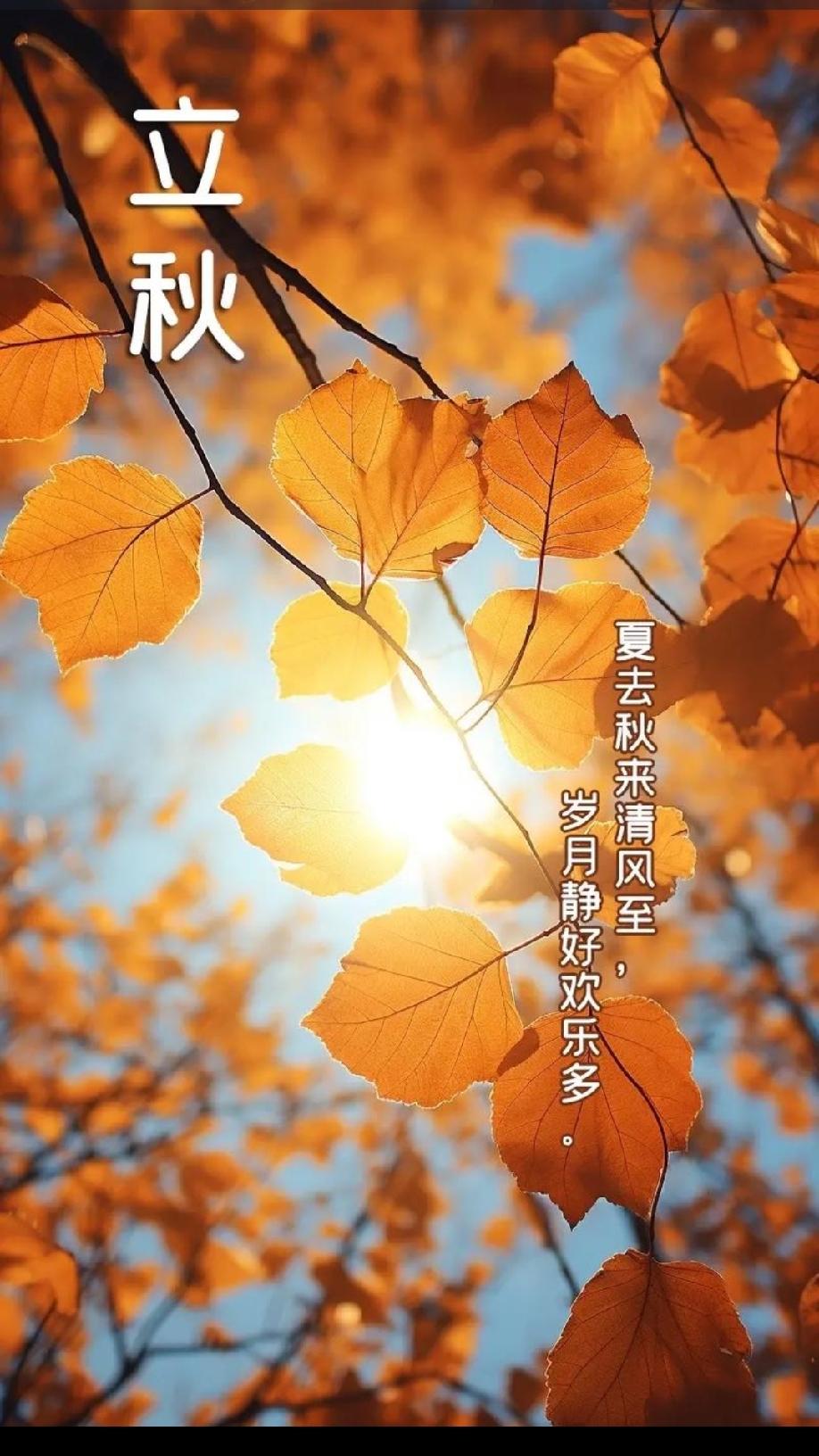立秋情怀立秋，是二十四节气中的第十三个节气，也是秋季的起始。