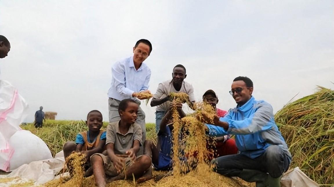 同样是“送粮食”，为什么西方把非洲送成了“乞丐窝”，中国却把布隆迪变成了“粮仓”