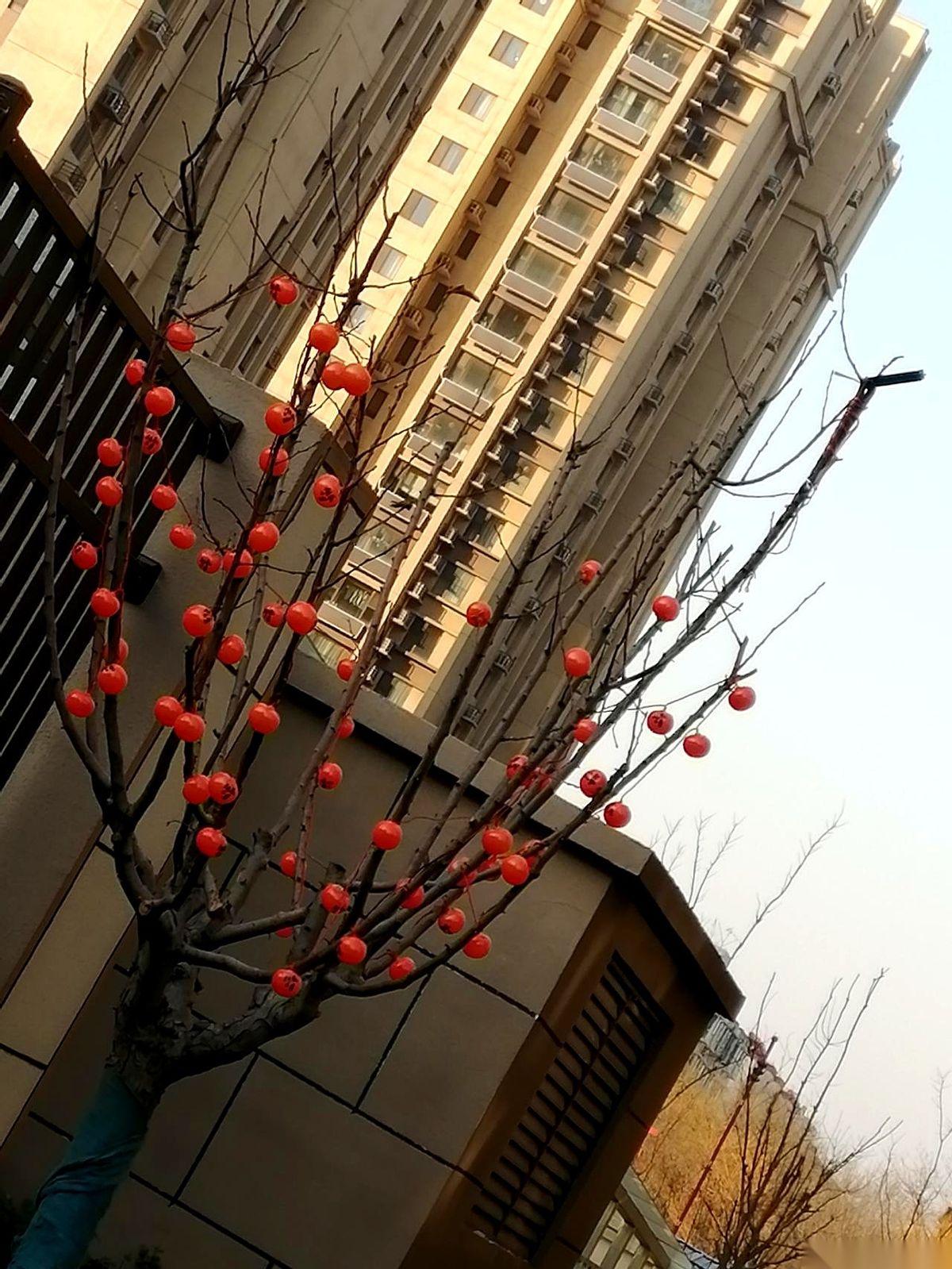 27次化疗，到底把我身体里什么东西给掏空了？今天上午出门，走过小区楼下，我脚步