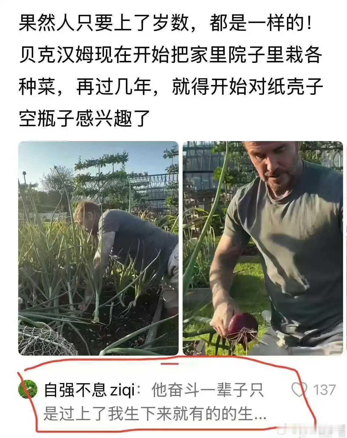 日常再过几年，他也要对纸壳子饮料瓶下手了。​​​