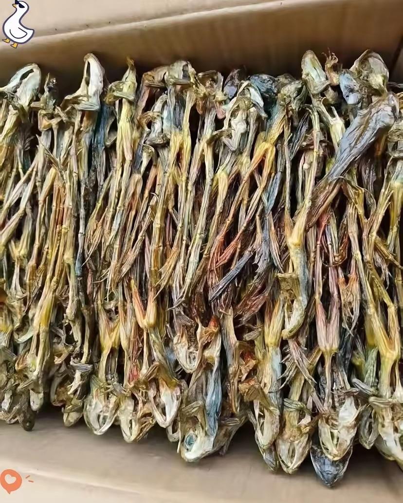 我的黄天神！这个要怎么吃？