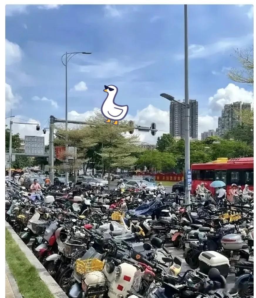 广东的电动车商家睡着都要笑醒了，1月1号起骑电动车要被严查，这不是不是开玩笑，