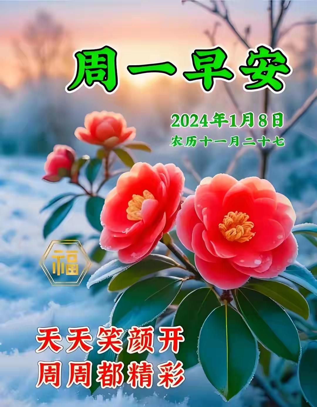 🌹早安🌹晨风软，日光暖。心意简，祝福满。愿我们，晨起逢喜，日落心